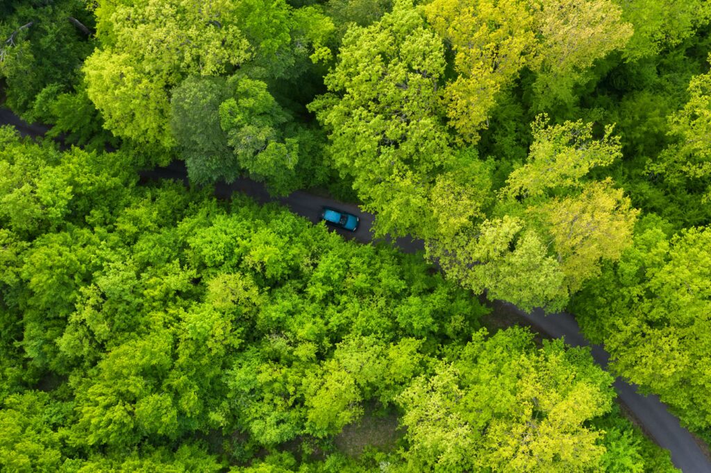 Voiture sans permis vue de haut dans une foret 